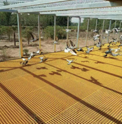 玻璃钢格栅，玻璃钢地格栅板，玻璃钢格栅盖板，玻璃钢树雨篦子，树池篦子，玻璃钢格栅厂家，玻璃钢鸽舍，洗车房玻璃钢价格直销定制厂家。